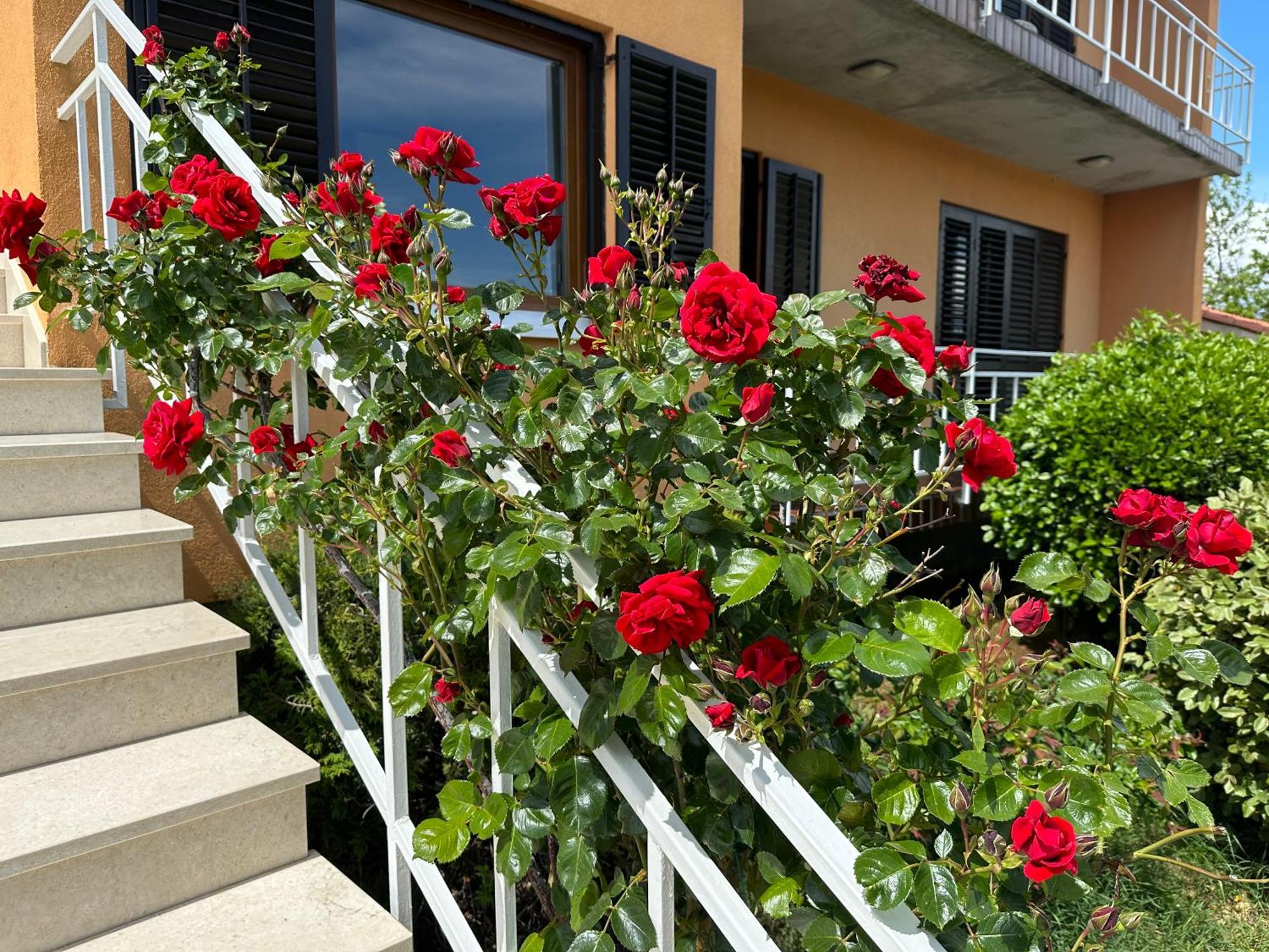 Casa Bruna Labin (Istria) Exterior foto